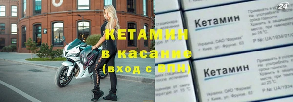 прущие грибы Зерноград