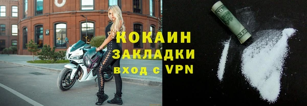 прущие грибы Зерноград