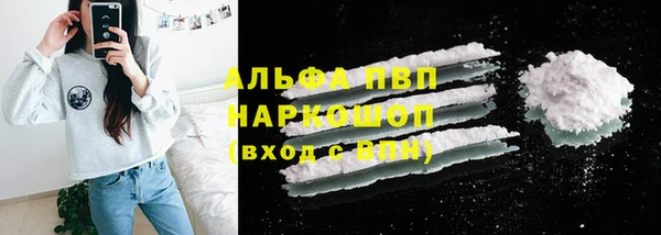 прущие грибы Зерноград