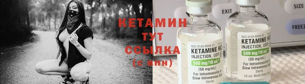 прущие грибы Зерноград