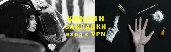 прущие грибы Зерноград