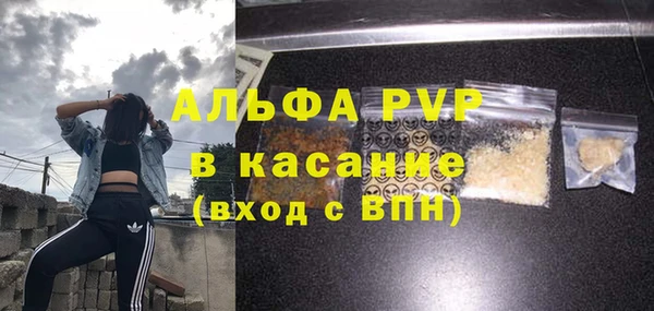 прущие грибы Зерноград