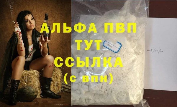 прущие грибы Зерноград