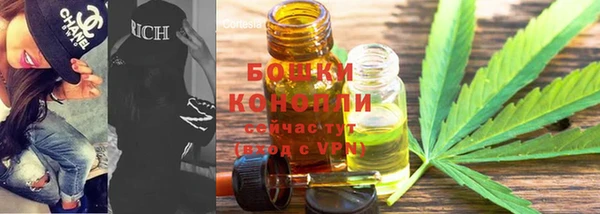 прущие грибы Зерноград