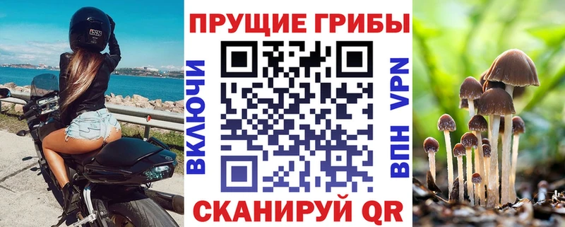даркнет сайт  Староминская  мега онион  Галлюциногенные грибы GOLDEN TEACHER 